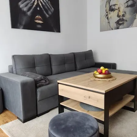 アパート Apartament Janis ザトル